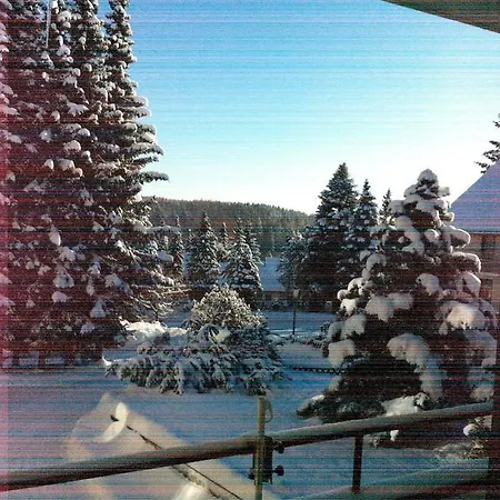Appartements-braunlage-eichendorffstrasse-1-modern-und-zentral Appartamento *